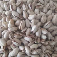 پسته اکبری . آبلیمو طبیعی خالص  آبغوره