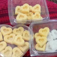 نبات فانتزی