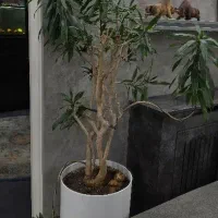 انجام امور منزل و دکوراسیون