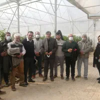 دوره جامع مدیریت گلخانه صیفیجات وپرورش قارچ|خدمات آموزشی|نجفآباد, امیرآباد|دیوار