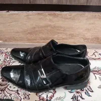 کفش زنانه مردانه نو