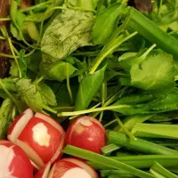 سبزی آماده پیاز سرخ شده