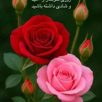 همراه مریض شبانه  روزی بیمارستان