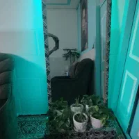 اینه ی قدی زیبا|آینه|کرمان, |دیوار