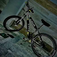 دوچرخه . ویوا . 26