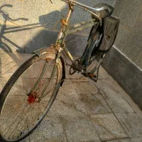 دوچرخه چینی یا (سمار)