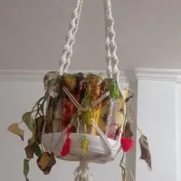 گلدان فروشی|گل و گیاه طبیعی|دهدشت, |دیوار