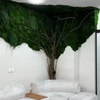 دیوار سبز - ماسوال - دیوار خزه ای - گیاه مصنوعی