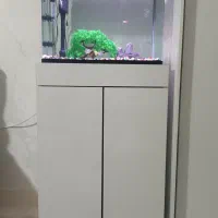 یک عدد اکفاریم با زیر اکفاریم. دو عدد لجن خوار