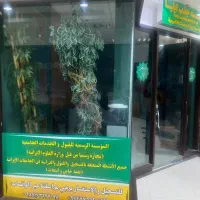 رهن واجاره تجاری|اجارهٔ مغازه و غرفه|قم, ارم|دیوار