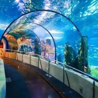 رزرو تفریحات گردشگری جزیره زیبای کیش