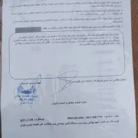 تیبا2مدل 99|خودرو سواری و وانت|بندر دیر, |دیوار