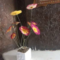 گل ، شاخه گل خشک ، دسته گل خشک|گل و گیاه طبیعی|مشهد, هنرستان|دیوار