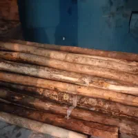 چوب دار ساختمانی