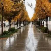 مغازه اجاره ای