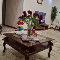 یک جفت فرش ۱۲متری ماشین