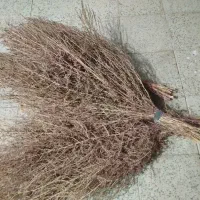 جارو محلی