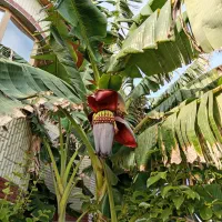فروش منزل در حسین آباد