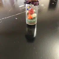 شیشه تزئینی گل طبیعی مصنوعی و تهی