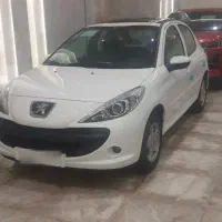 207 تیو۵ پلاس خشک روز ۱۴۰۵ پانا