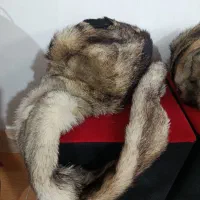 کلاه روسی|لباس|رشت, استادسرا|دیوار