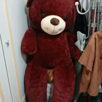 خرس عروسکی خارجی جنس عالی|اسباب‌بازی بچه|طارم (زنجان), |دیوار
