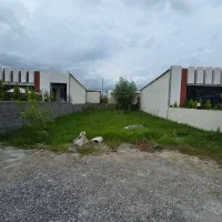 زمین بخر بساز /پشت پارک جنگلی نور