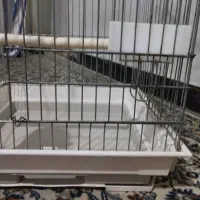 قفس بزرگ پرنده ۹۵۰|لوازم جانبی حیوانات|شیراز, سهلآباد|دیوار