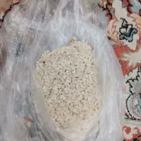 نیم دانه