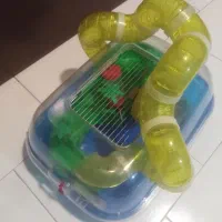 باکس همستر با کلیه وسایل