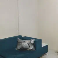 مبل|مبلمان خانگی و میز عسلی|پرند, فاز ۶|دیوار