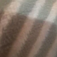 خط رند