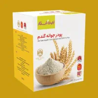 پودر جوانه گندم