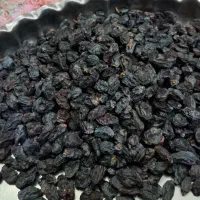 مویز مشکی شیراز|خوردنی و آشامیدنی|قم, زنبیل آباد|دیوار