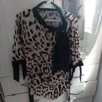 شومیززنانه|لباس|قرچک, پویینک|دیوار