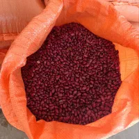 لوبیا قرمز زنجان