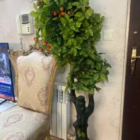 درختچه تزیینی گیلاس