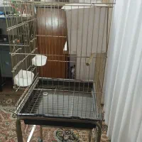 قفس پرنده
