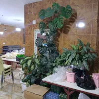 حراجی|حراج|جوانرود, |دیوار