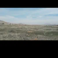 فروش و معاوضه