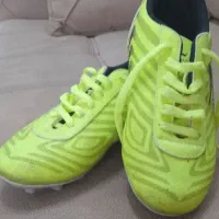 دوعددکتانی فوتبال نو