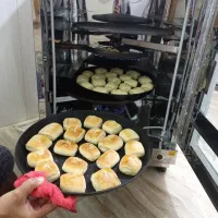 کیک پز|اجاق گاز و لوازم برقی پخت‌وپز|سبزوار, قصبه غربی|دیوار