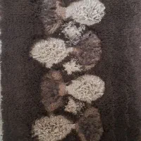 پادری