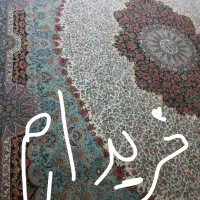 فرش گل رز|فرش|قم, انسجام|دیوار