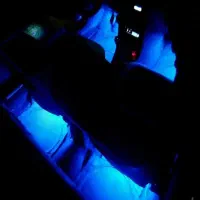 چراغ کشی برای تمامی‌ماشین های ایرانی|قطعات یدکی و لوازم جانبی|مشگین شهر, |دیوار