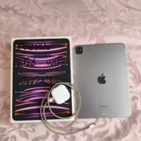 IPAD PRO 256gb M2 GRAY|تبلت|حمیدیا, |دیوار