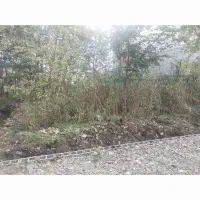 فروش فوری زمین مسکونی شهری|فروش زمین و ملک کلنگی|خشکبیجار, |دیوار