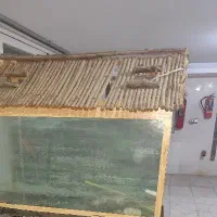 شیشه آکواریوم