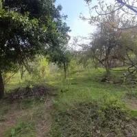 زمینی مسکونی فروشی در روستای گنجار|فروش زمین و ملک کلنگی|احمدسرگوراب, |دیوار