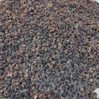 کشمش آفتابی|خوردنی و آشامیدنی|نهاوند, |دیوار